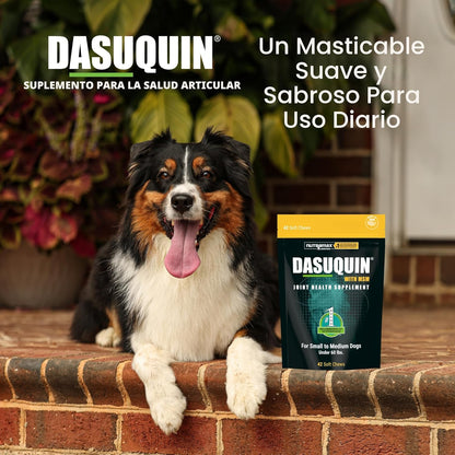 Nutramax Dasuquin para perros pequeños a medianos, suplemento para...