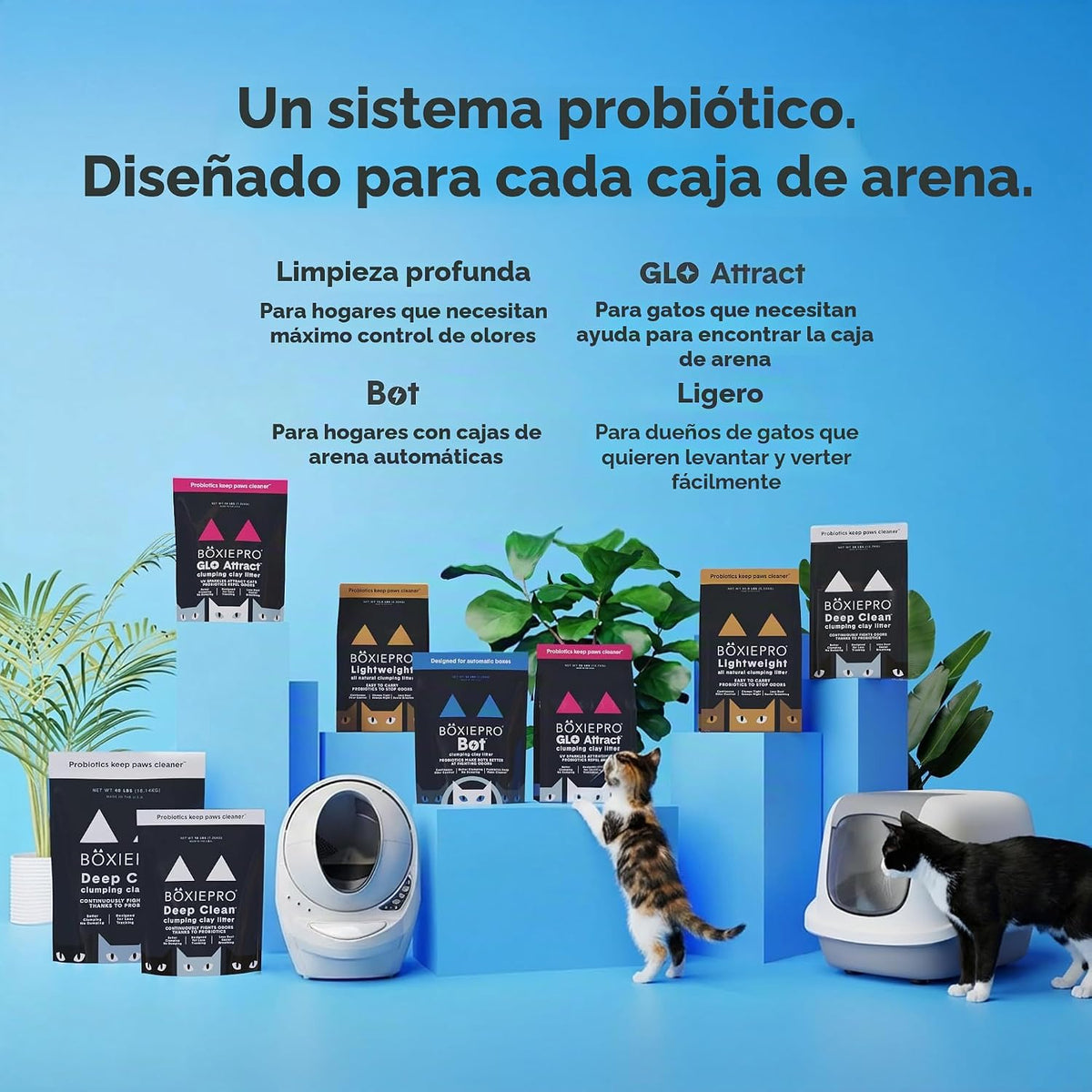 BoxiePro Bot - Arena probiótica para gatos, caja automática para co...