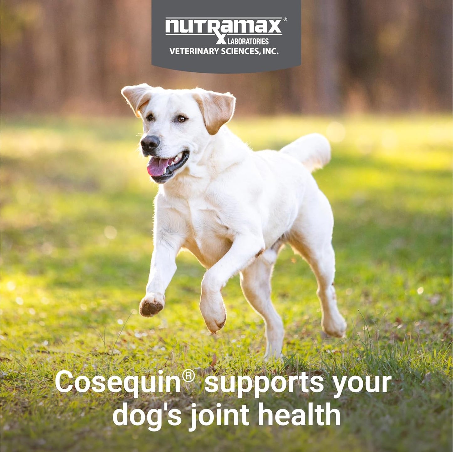 Nutramax Laboratories Cosequin Suplemento de salud articular de máx...