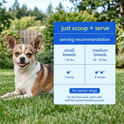 Native Pet Vitaminas y suplementos diarios para perros mayores \u20...