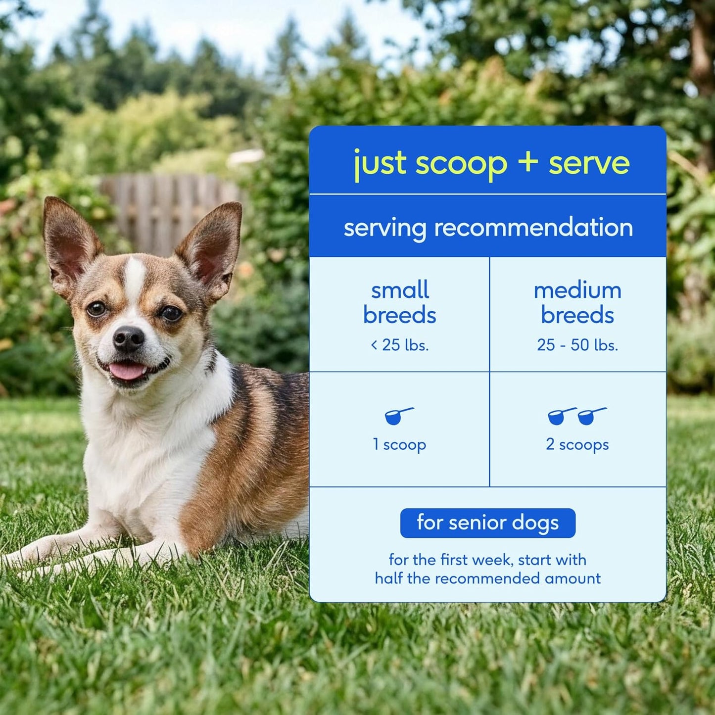 Native Pet Vitaminas y suplementos diarios para perros mayores \u20...