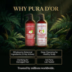 PURA D'OR Champú y acondicionador de vinagre de sidra de manzan...