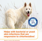Douxo S3 PYO Champú de clorhexidina para perros, champú medicado an...