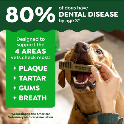 Greenies Dog Dental Chews Aperitivos para perros \u2013 Tamaño regu...
