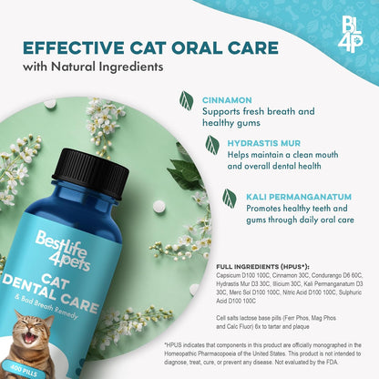 Remedio para el mal aliento y la salud oral de los gatos, cuidado d...