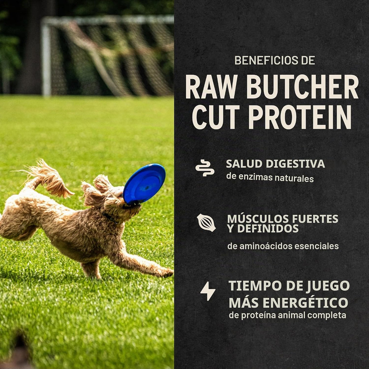 Vital Essentials Golosinas liofilizadas para perros, pechuga de pol...