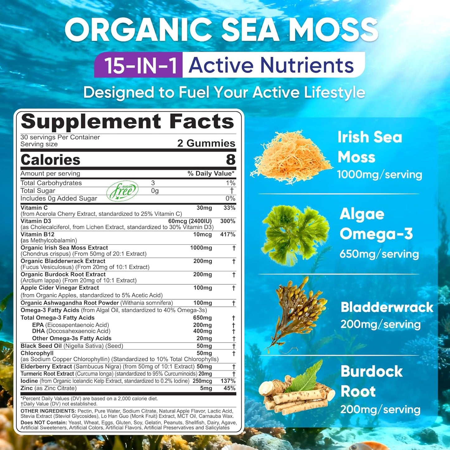 Gomitas de musgo marino + algas omega-3 para hombres y mujeres, veg...