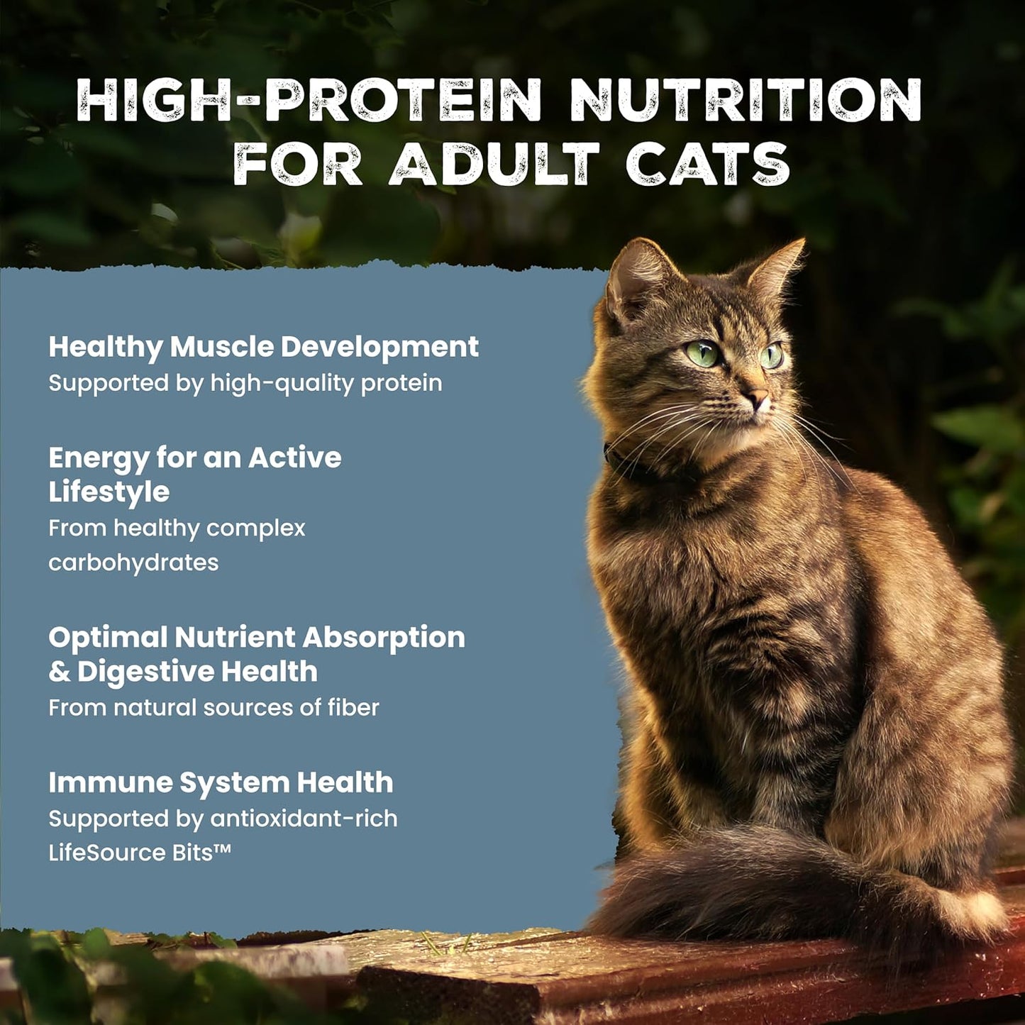 Blue Buffalo Wilderness - Alimento seco natural para gatos adultos,...