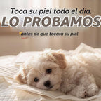 WICKEDPUP Almohadillas elevadoras para pañales para perros machos y...