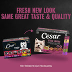 CESAR Alimento húmedo para perros adultos, pan clásico en salsa par...