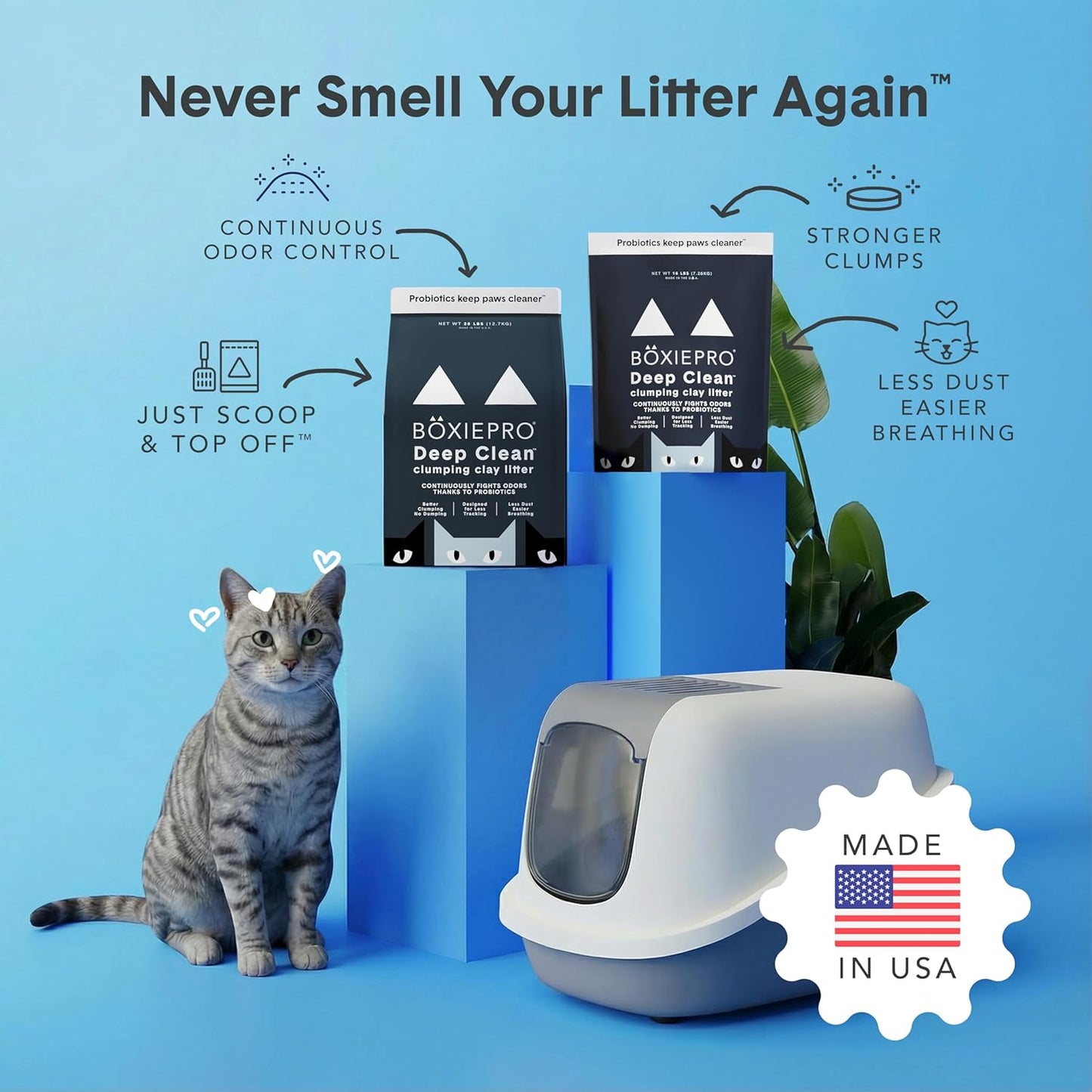 Boxie Arena Probiótica para Gatos, Control de Olores de 40 Días, Ar...