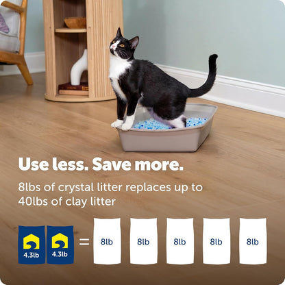 PetSafe ScoopFree Arena de Cristal Premium para Gatos - Supera a la...