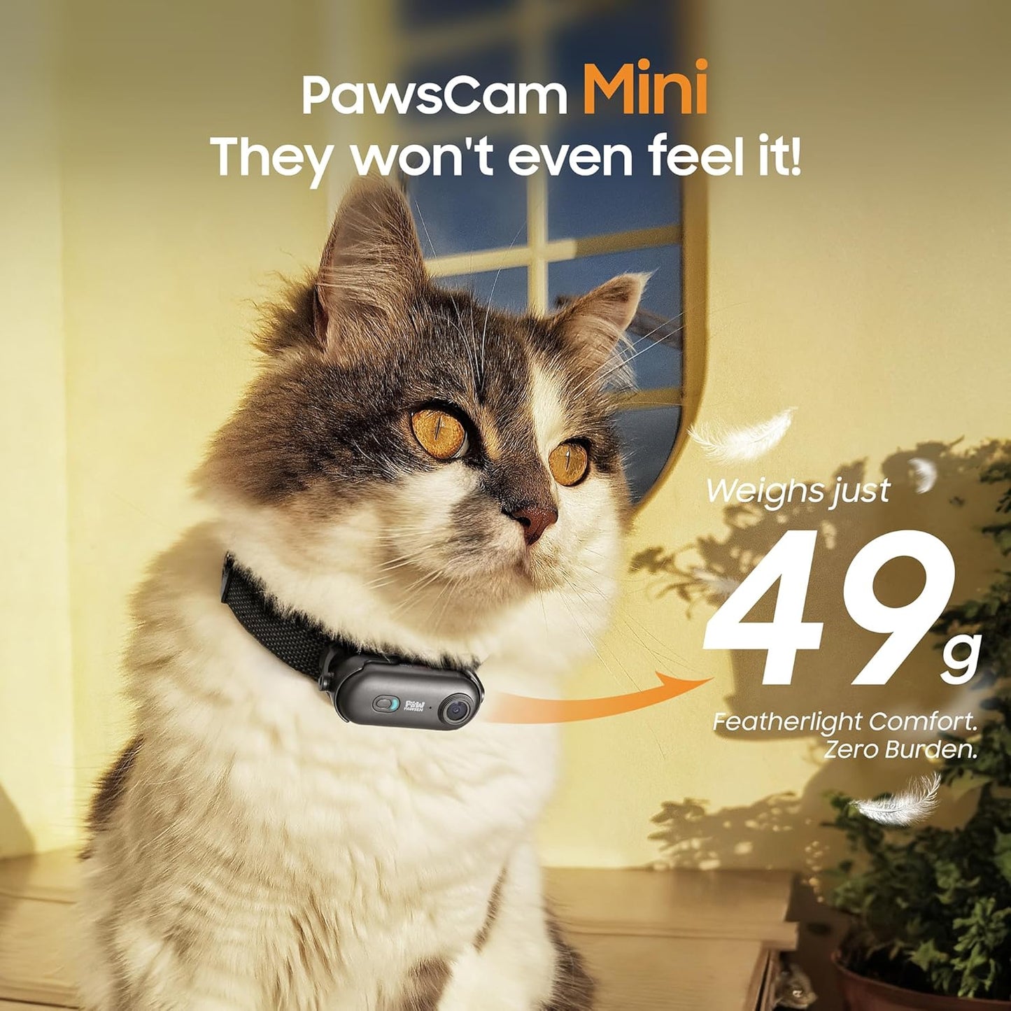 PAWPAWSEN Collar de cámara para mascotas 4K UHD para gatos y perros...