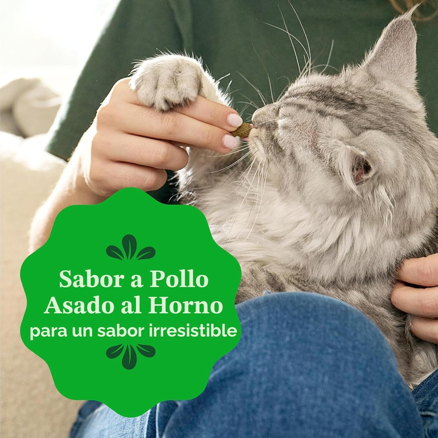 Greenies Golosinas para gatos, golosinas dentales naturales para ga...