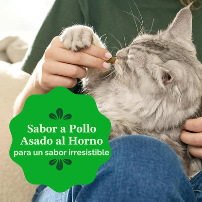 Greenies Golosinas para gatos, golosinas dentales naturales para ga...