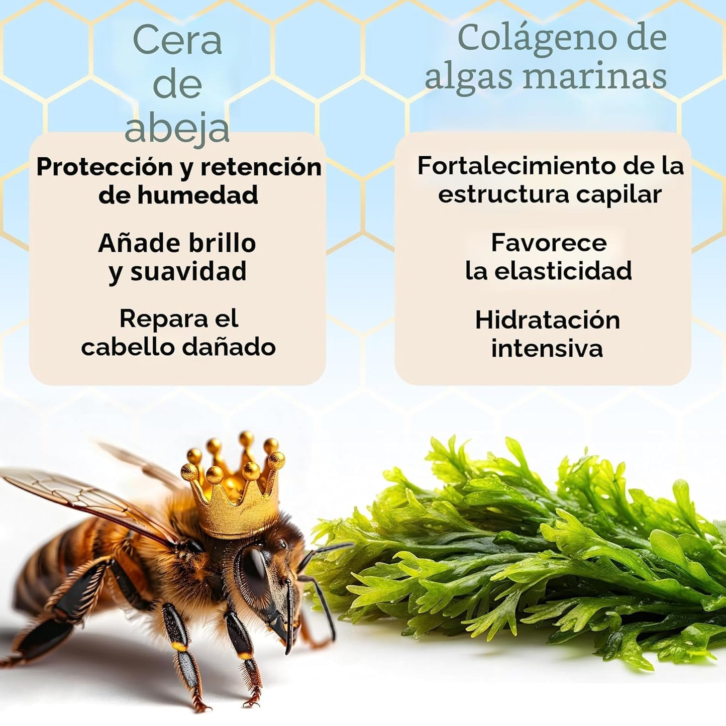 Jumybee Mascarilla japonesa BTX para cabello dañado B-TOX - Tratami...