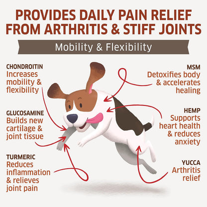 Suplemento de cadera y articulaciones para perros \u2013 Glucosamin...