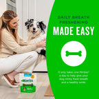 Minties Masticables dentales para perros, 36 unidades, golosinas co...