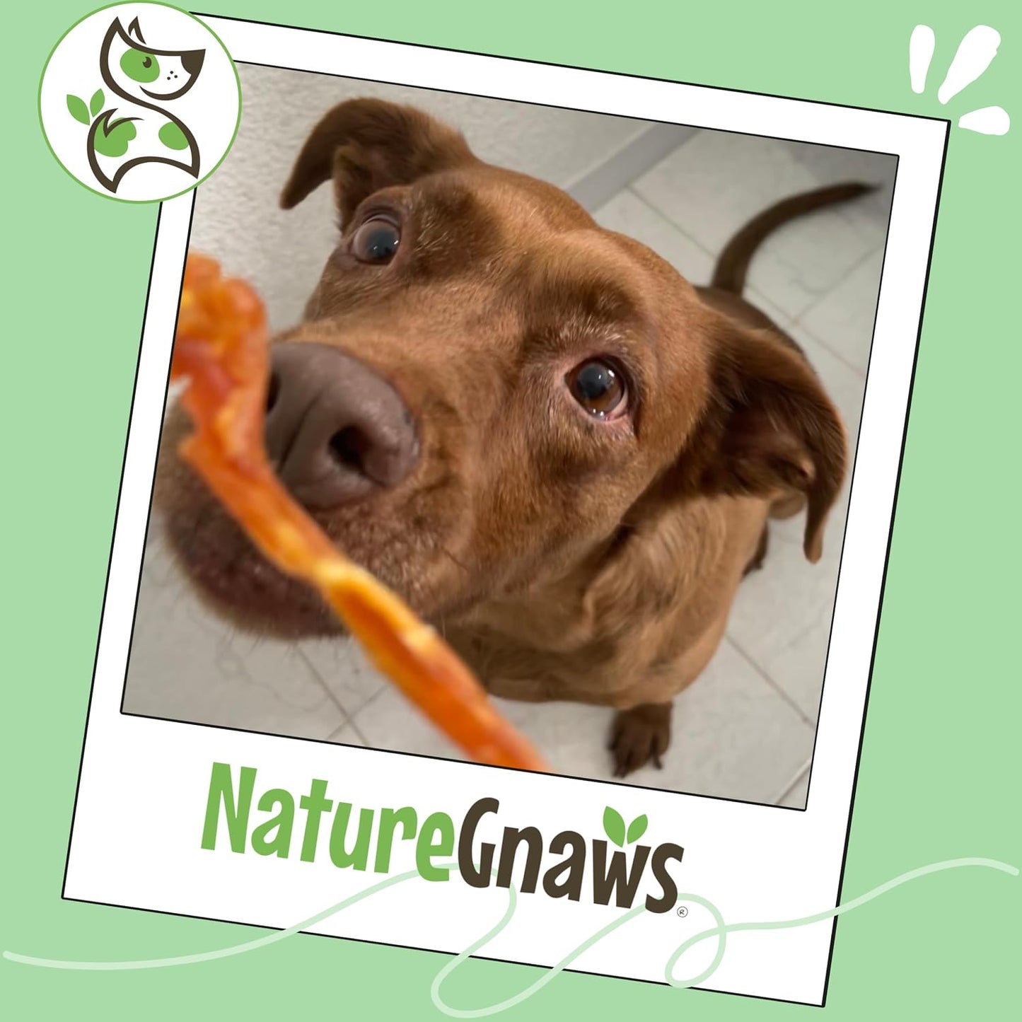 Nature Gnaws Tendones de pavo de Estados Unidos para perros (8 onza...