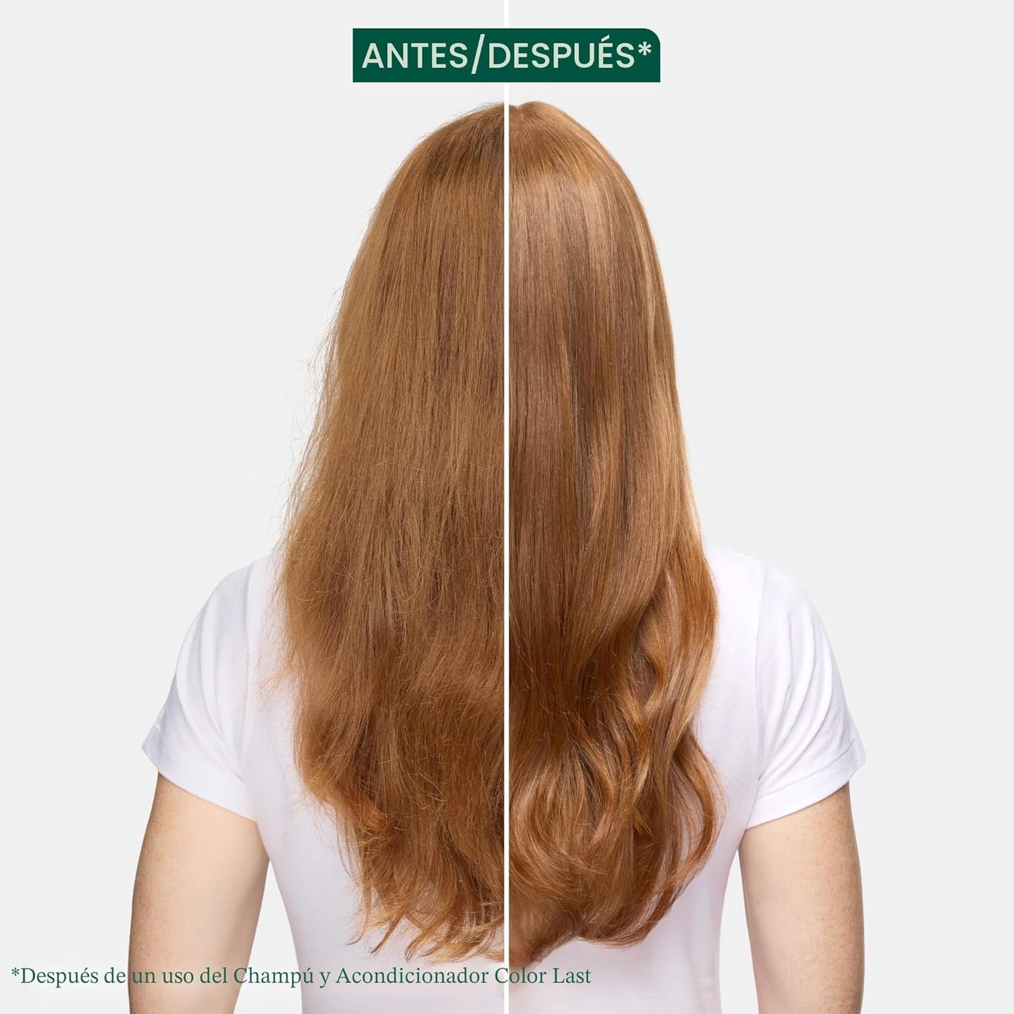 Champú Biolage Color Last - Para cabello teñido, nutre, fortalece,...
