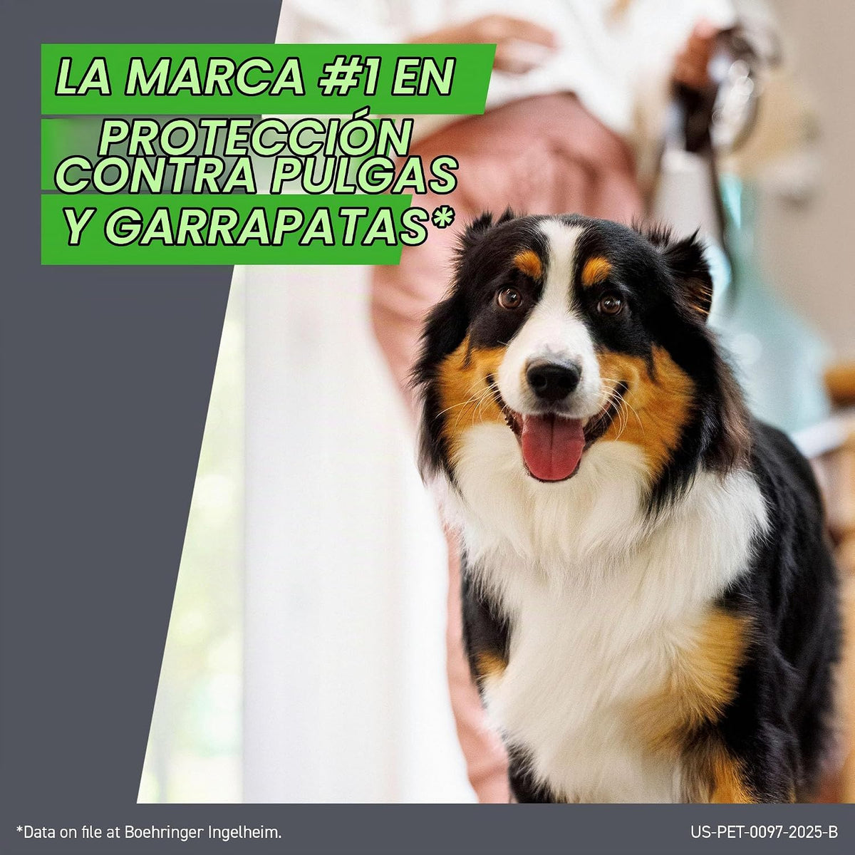 FRONTLINE Plus Tratamiento de pulgas y garrapatas para perros peque...