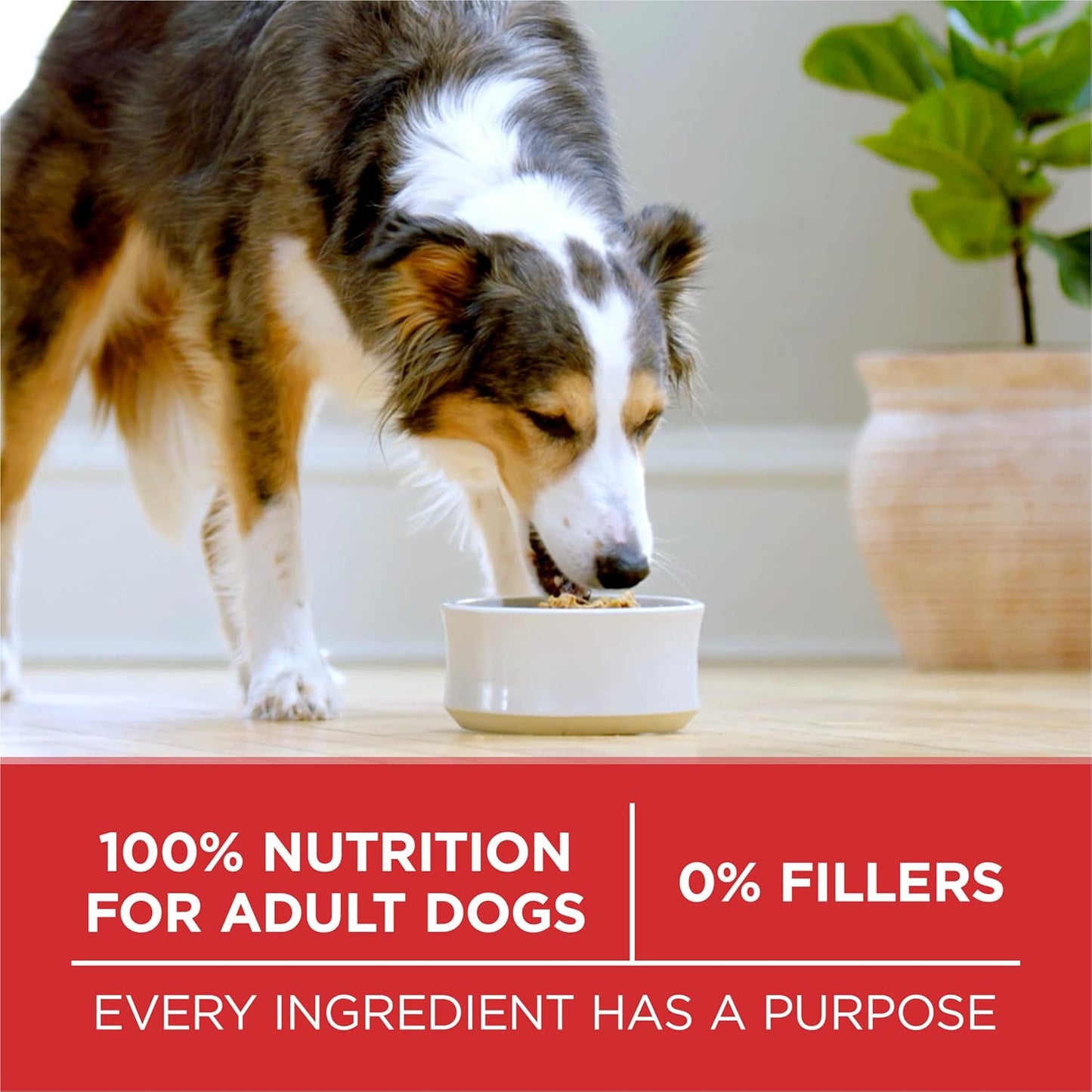 Purina ONE Comida seca para perros con fórmula de pollo y arroz, bo...