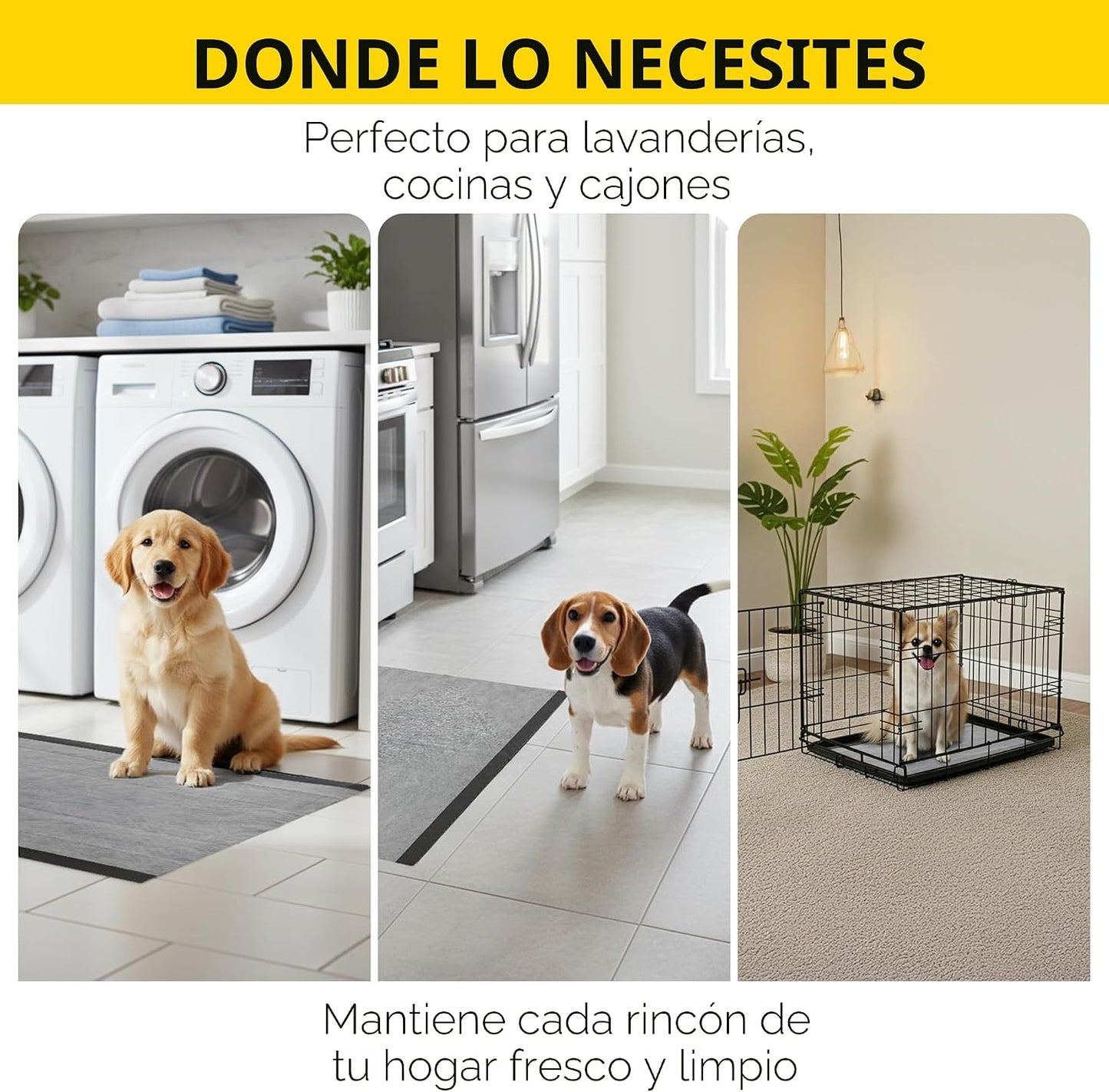 Glad para Mascotas Almohadillas de Carbón Negro para Cachorros, Alm...