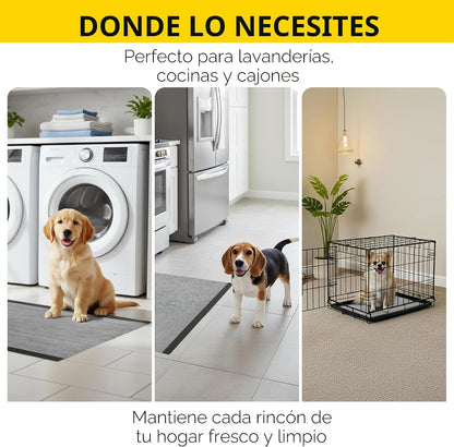 Glad para Mascotas Almohadillas de Carbón Negro para Cachorros, Alm...