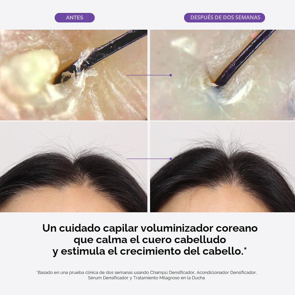 Dr. Groot Suero Densificante, Champú, Acondicionador y Tratamiento...