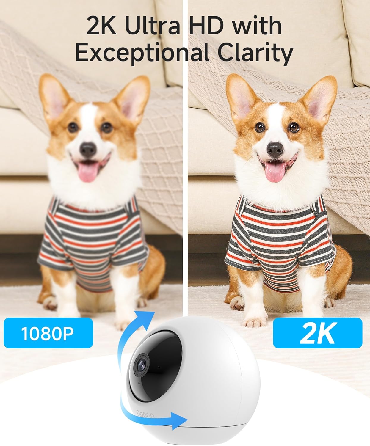 Noorio Cámara de seguridad para interiores 2K con WiFi de 5 GHz, cá...