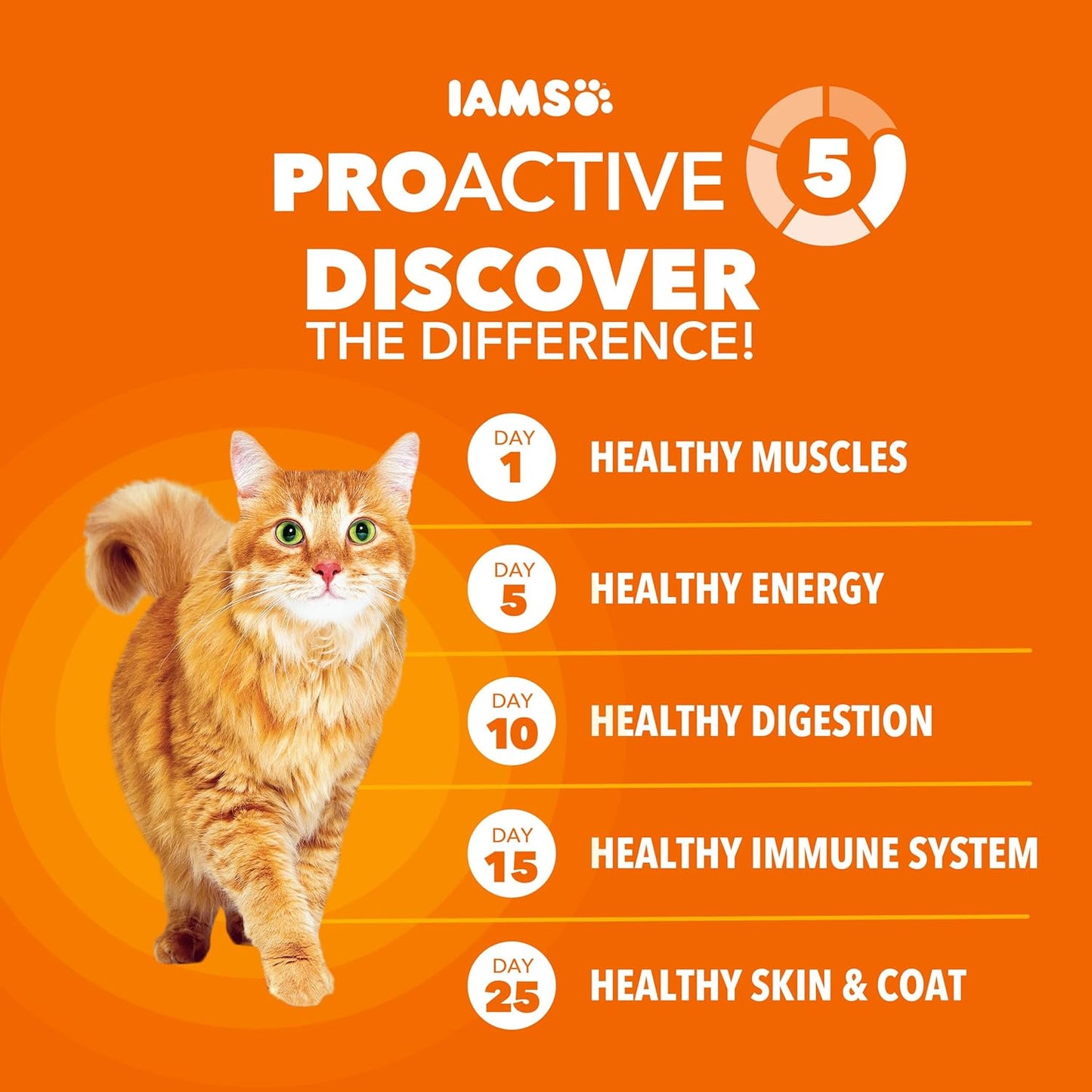 IAMS Proactive Health Alimento seco saludable para gatos adultos co...