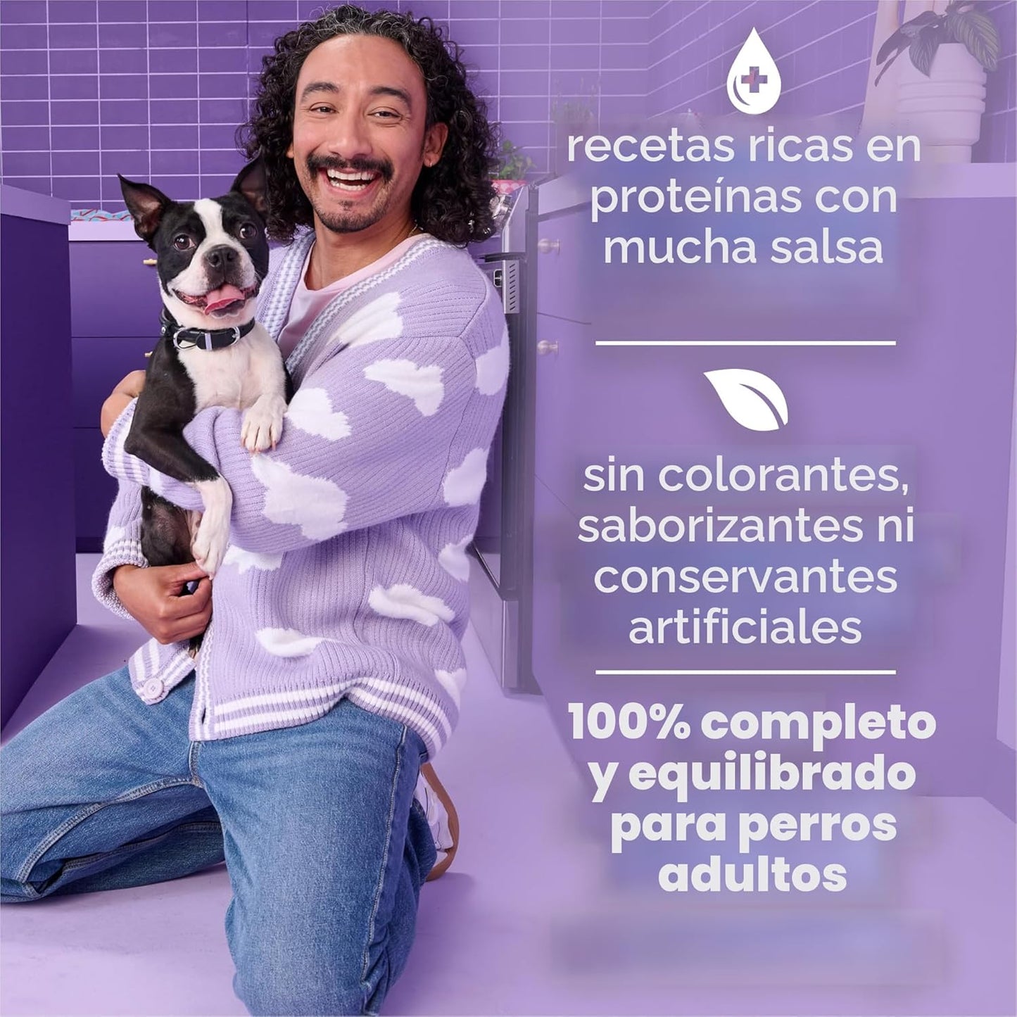 Purina Beneful Kitchen Creations - Paquete variado de alimentos húm...