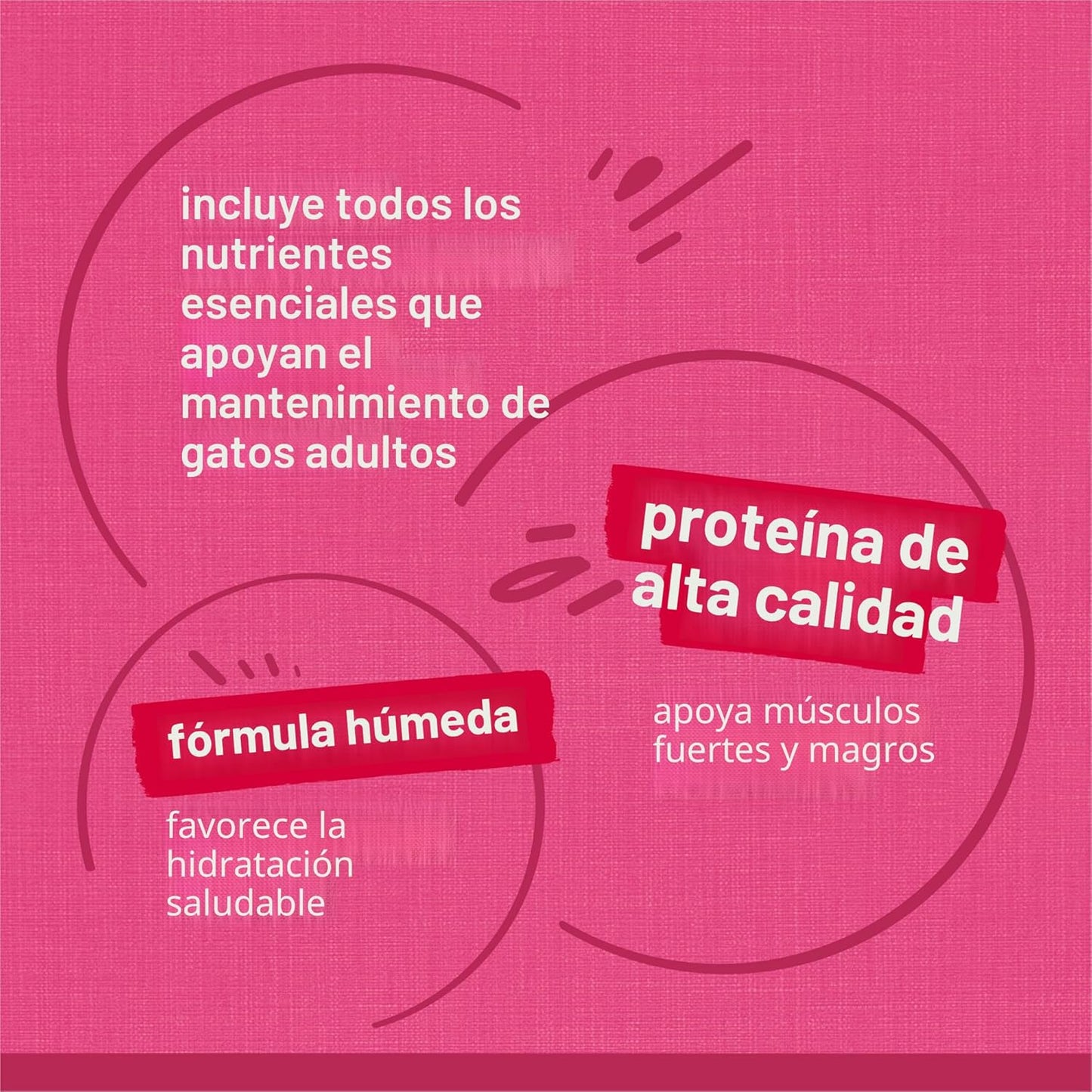 Purina Friskies - Paquete variado de alimentos húmedos en salsa par...