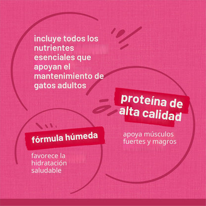Purina Friskies - Paquete variado de alimentos húmedos en salsa par...