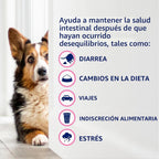 Nutramax Probióticos proviables para perros y gatos pequeños, kit d...