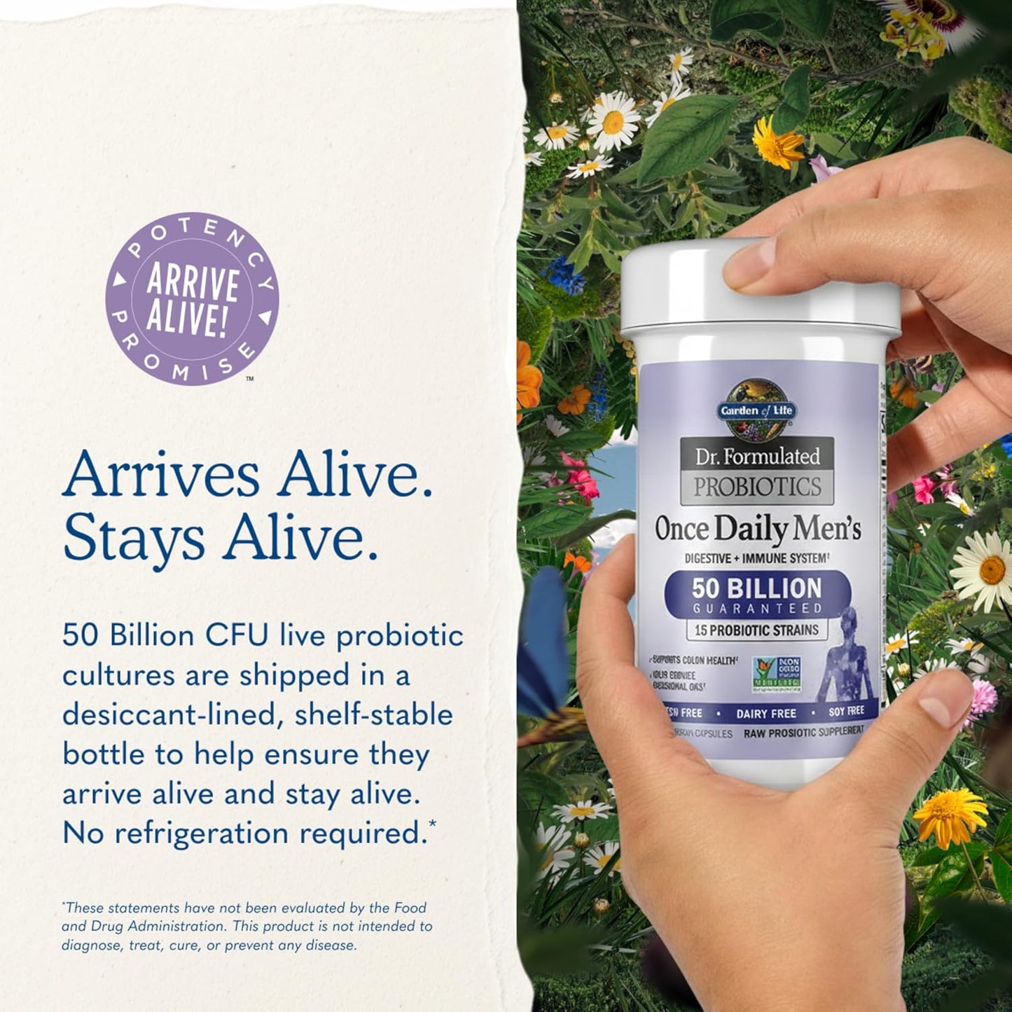 Garden of Life Probióticos para Hombres, formulado por médicos, 50...
