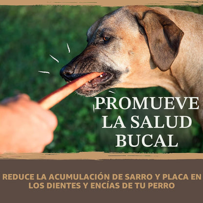 Mighty Paw Naturals Paquete Variado de Bully Sticks para Perros - M...