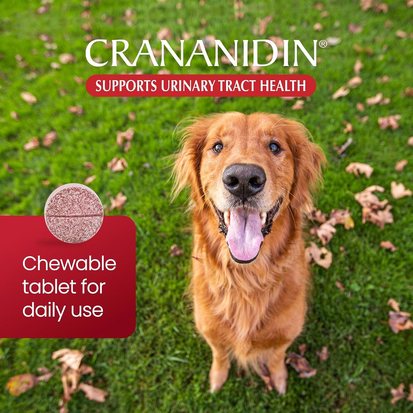 Nutramax Crananidina para perros, salud del tracto urinario y apoyo...