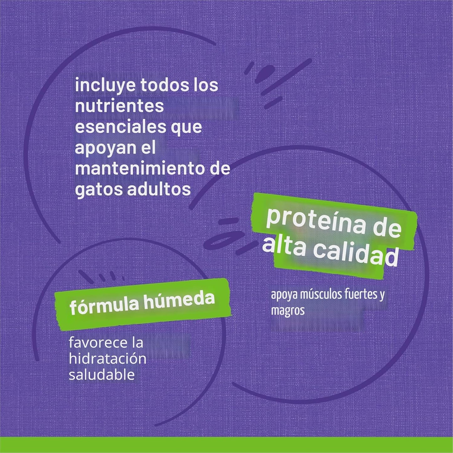 Purina Friskies Pate - Paquete variado de alimentos húmedos para ga...
