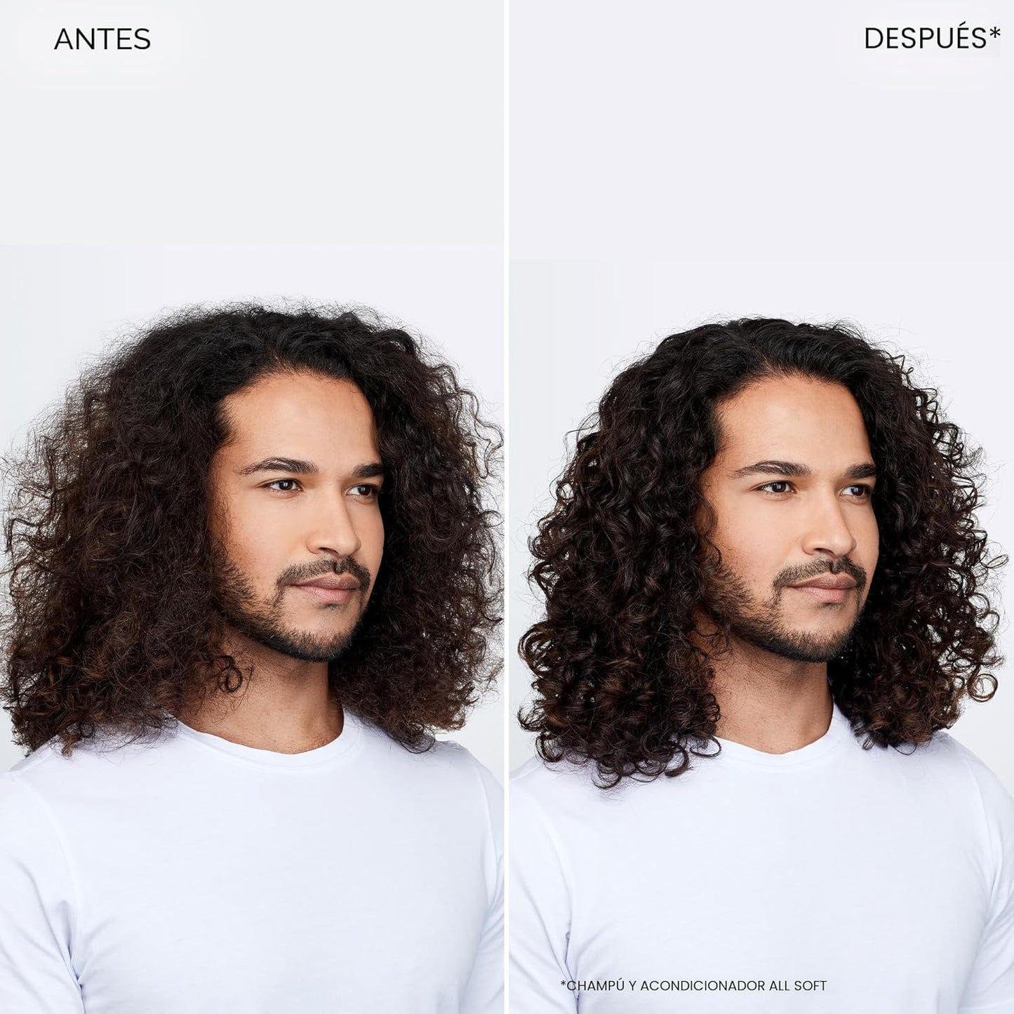 Redken All Soft Shampoo - Hidrata y nutre el cabello seco y quebrad...