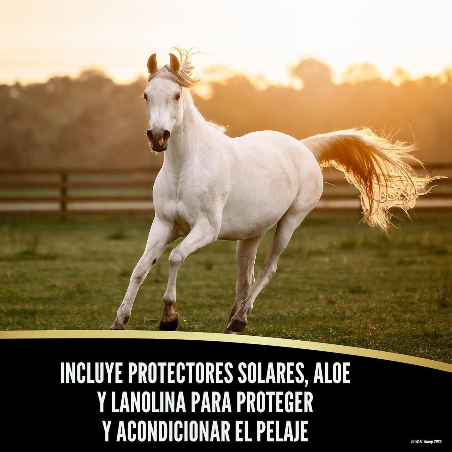 Absorbine UltraShield EX 128oz Insecticida, Mata y Repele Moscas, M...