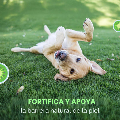 Nutramax Dermaquin Suplemento de Apoyo para la Piel para Perros Gra...