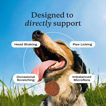 PetLab Co. Probióticos para alergias e inmunidad para perros, apoyo...