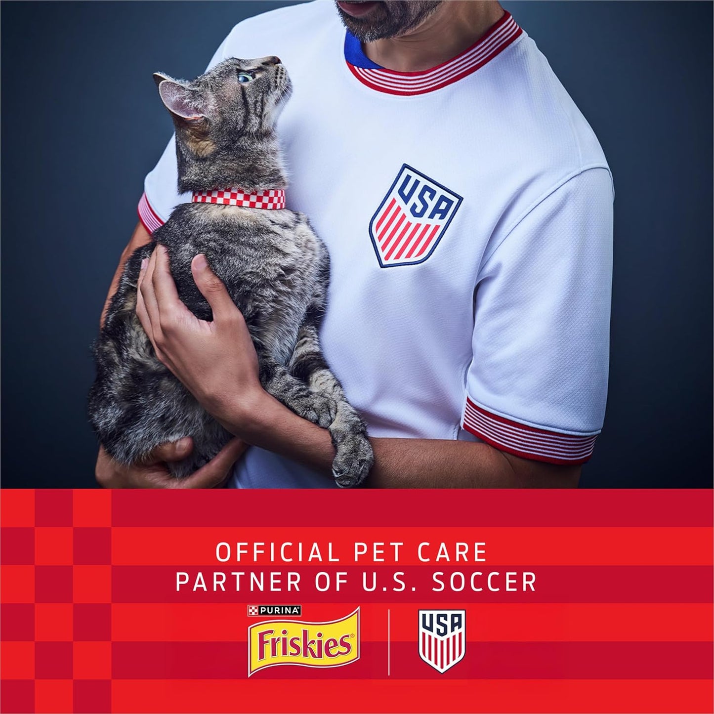 Purina Friskies Paquete de la variedad de la pesca de la comida del...