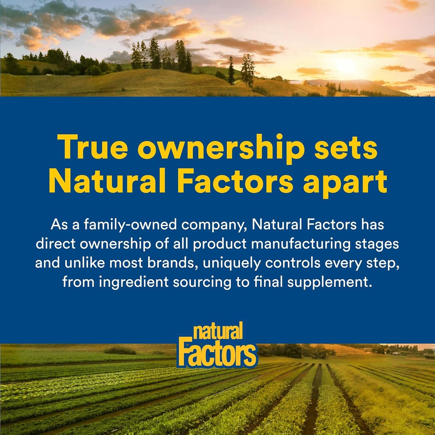 Natural Factors, Vitamina D3, 5,000 UI, apoya la salud de las artic...