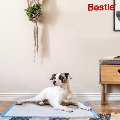 BESTLE - Tapetes de entrenamiento para mascotas y cachorros extra g...