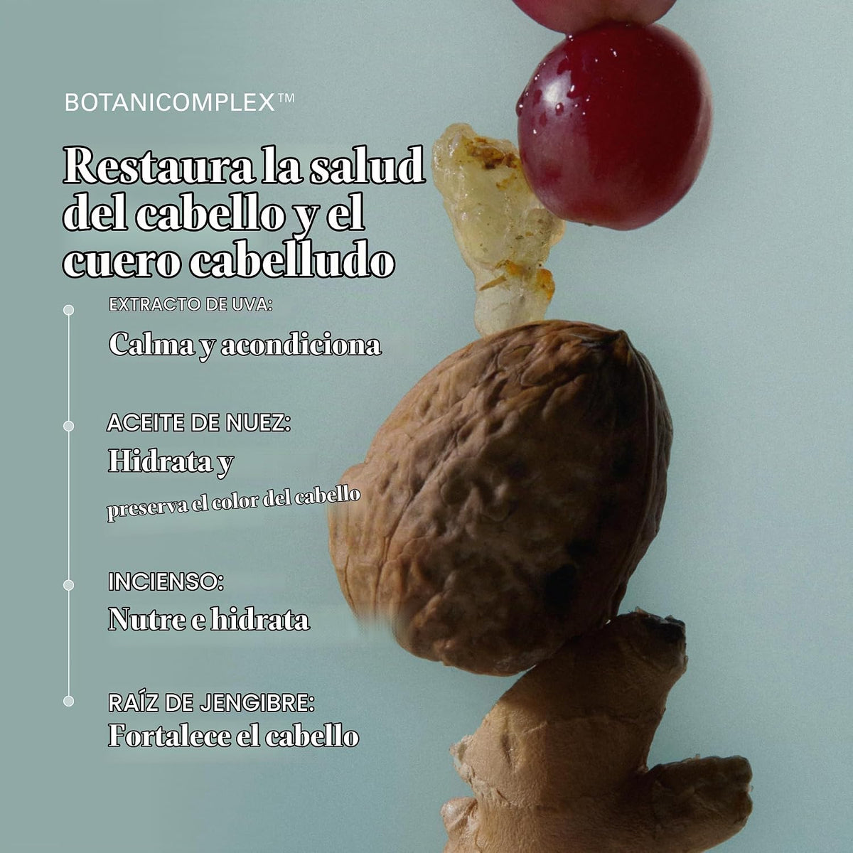 RŌZ Juego de champú y acondicionador hidratante sin sulfato, 10.1 o...