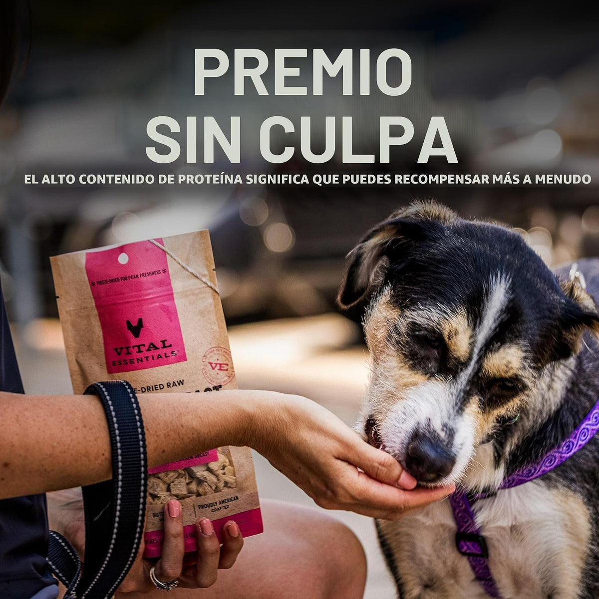 Vital Essentials Golosinas liofilizadas para perros, menudos de pav...