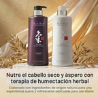 Daeng Gi Meo Ri Ki Gold Premium Champú 16.9 Fl Oz | Promueve el cre...