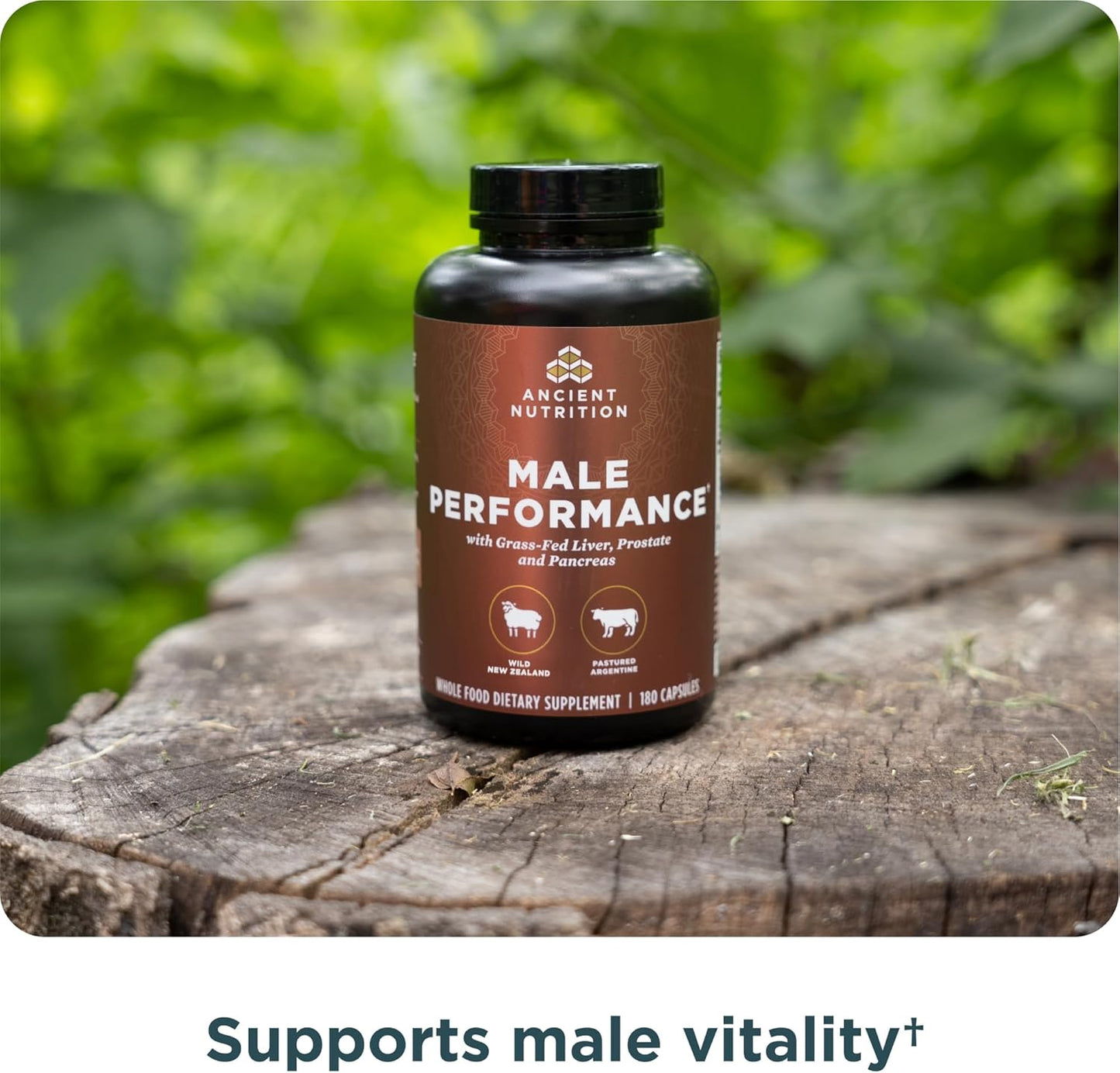 Ancient Nutrition Suplementos de Órganos para Hombres, Cápsulas de...